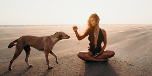 Le Prajna Ile Maurice - Centre de Bien-Être et de Créativité