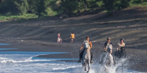 Ballade à cheval sur la plage de l'Etang-Salé, La Réunion
