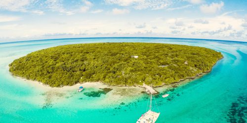 The Cats island