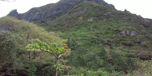 Malenga View Point Camping Area