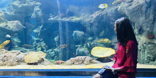 Odysseo oceanarium
