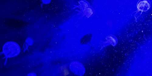Odysseo oceanarium