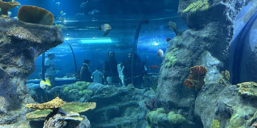 Odysseo oceanarium