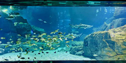 Odysseo oceanarium
