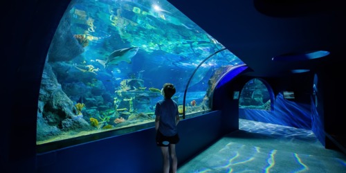 Odysseo oceanarium