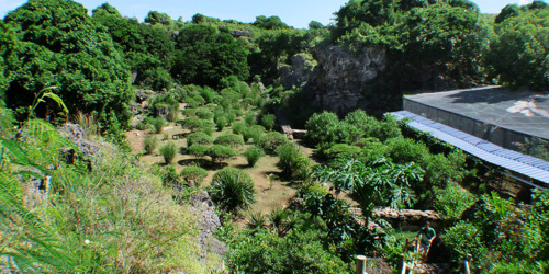 Reserve des Tortues François Leguat