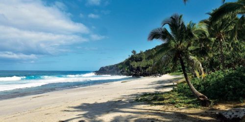 La Plage de Grande Anse, La Réunion
