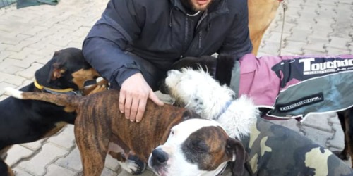 Stormy a été adopté