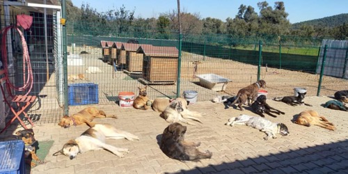 Sunbathing our bones