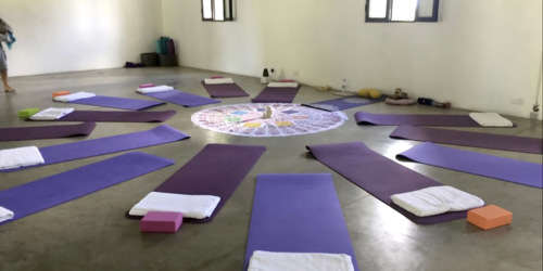 Yoga classes Wellnessenses
