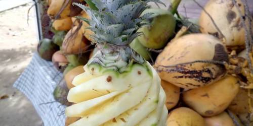 Camille Snack - Plage de la Cuvette