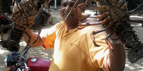 Camille Snack - La Cuvette beach