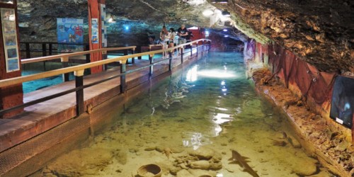 Cap Blanc Aquarium - San Antonio - Ibiza