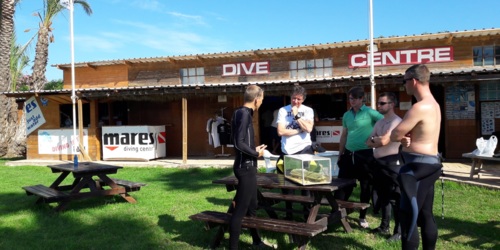 DIVESTAR Scuba Diving Center - Cala Martina - Santa Eulàlia