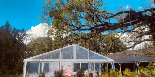 Le Domaine des Aubineaux - Curepipe