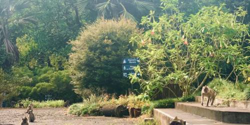 Le Domaine des Aubineaux - Curepipe