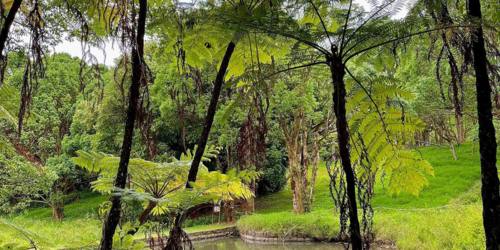 Le Domaine des Aubineaux - Curepipe