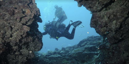 Eco Evasion Diving Center