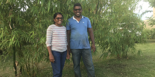 Services de jardinage - ile Maurice