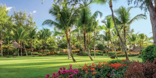 Reliable Gardening services in Mauritius