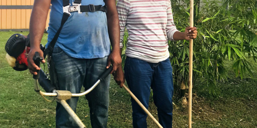 Services de jardinage - ile Maurice