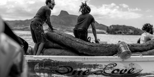 Mobilisation nationale contre la marée noire