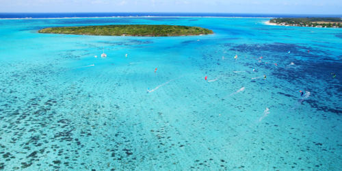 Ile aux Aigrettes
