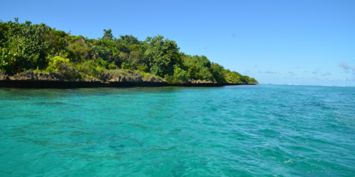 Ile aux Aigrettes