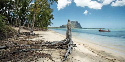 Lîle aux Bénitiers