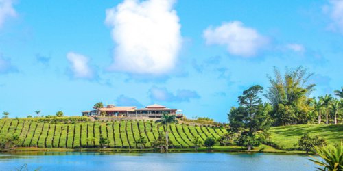 Bois Cheri Tea Factory and Tea Museum