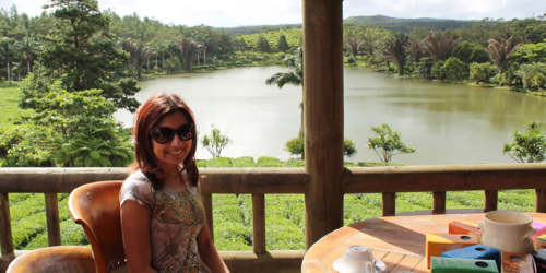 Bois Cheri Tea Factory and Tea Museum