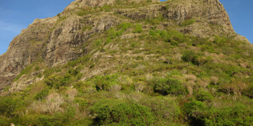 Le Morne Brabant Mountain