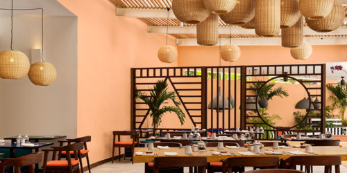 SALT of Palmar in Mauritius