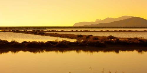 Las Salinas (Ses Salines) Natural Park, Ibiza