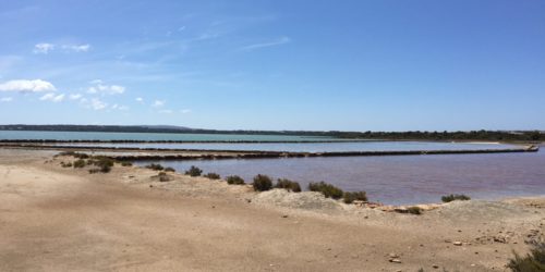 Las Salinas (Ses Salines) Natural Park, Ibiza