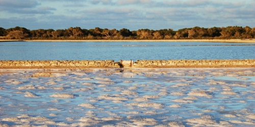 Las Salinas (Ses Salines) Natural Park, Ibiza