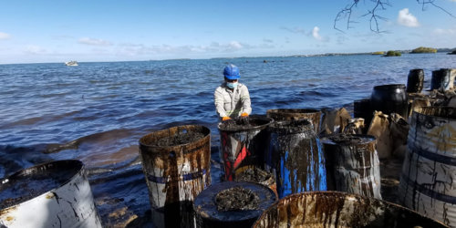 National mobilization against the oil spill