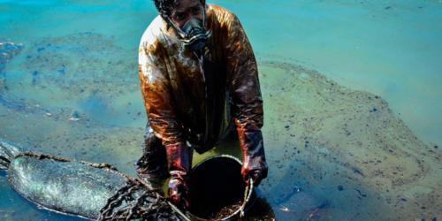 National mobilization against the oil spill