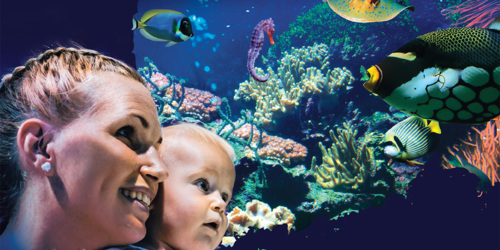 L'Aquarium de La Réunion