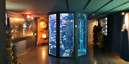 L'Aquarium de La Réunion