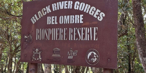 Bel Ombre Nature Reserve - Mauritius