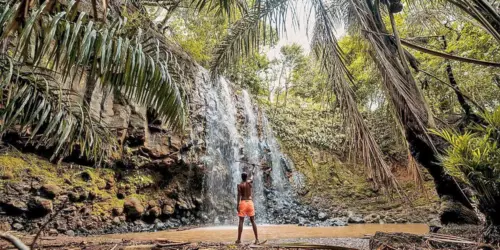 Bel Ombre Nature Reserve - Mauritius