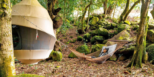 Picnic Pods - Bel Ombre Nature Reserve - Mauritius