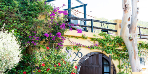 Hotel Pikes - Sant Antoni de Portmany, Ibiza