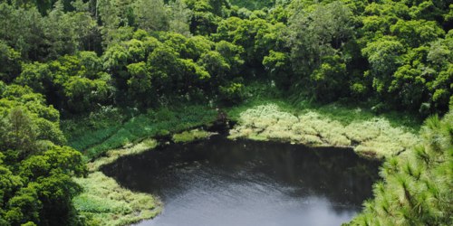 Trou Aux Cerfs Volcano