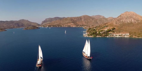 You are allowed to dream