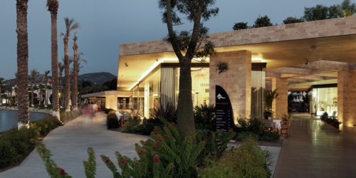 Palmarina [@Cemal Emden]