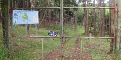 Open Gate at Bel Ombre Hiking Trail