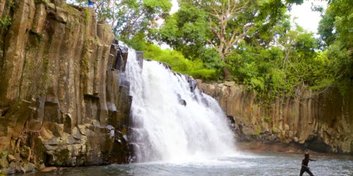 Black River Gorges National Park