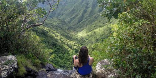 Black River Gorges National Park